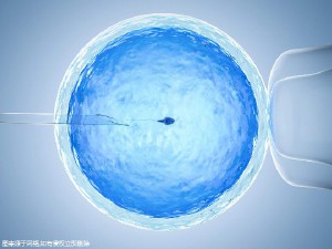 关于安悦佳妇产医院